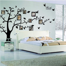 Load image into Gallery viewer, Family Photo Tree Wall Decal